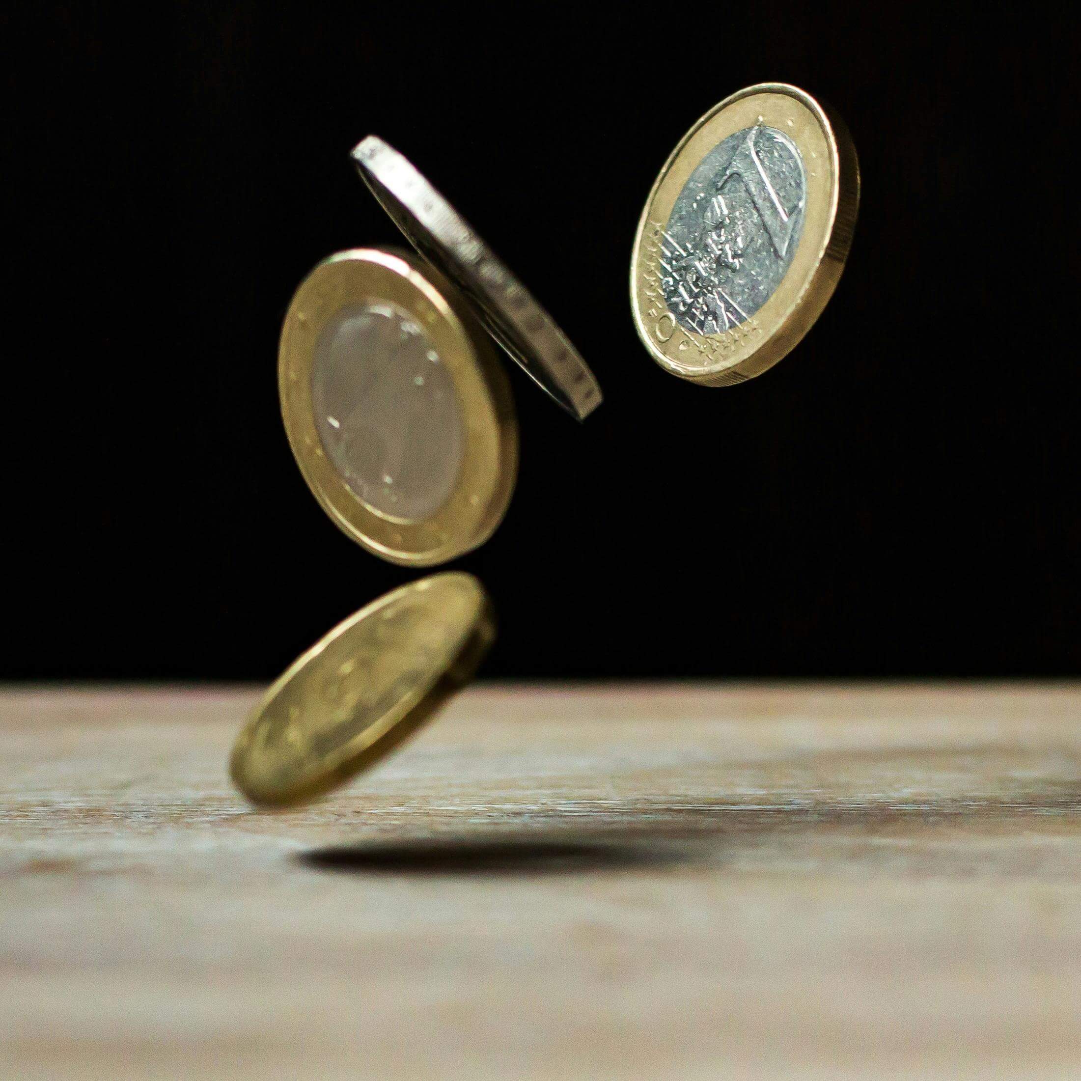 economie begrippen overhoren